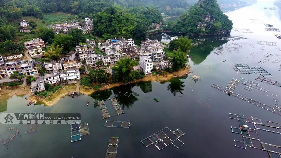 蔚为壮观大化北景发展万亩水产养殖