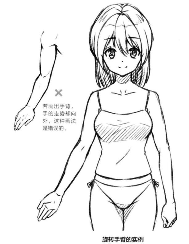 动漫人物手臂该怎么画手臂的绘制方法教程