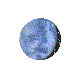 304_304gif 动态图 动图