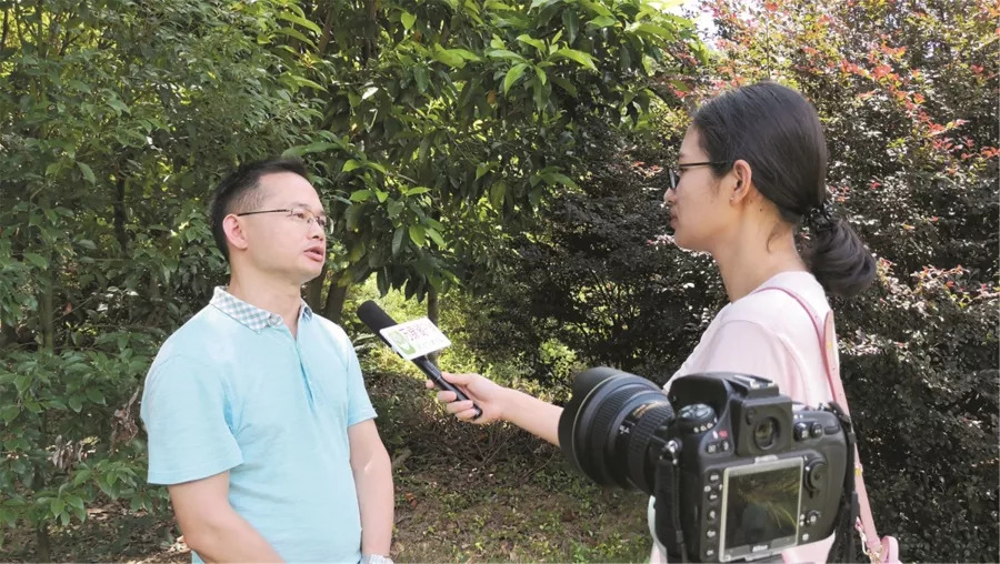 【河源很赞】61种兰科植物深藏于此,空谷幽兰自芬芳!