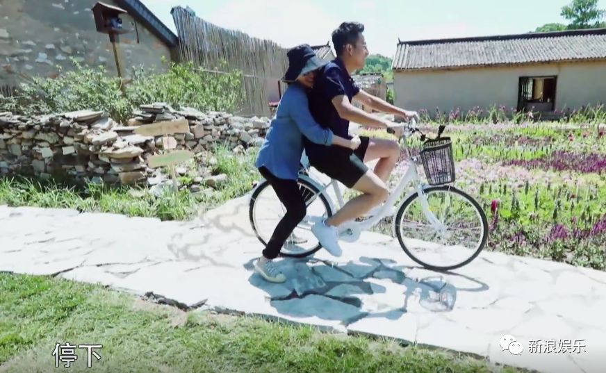 汪小菲|大s|江宏杰_新浪新闻