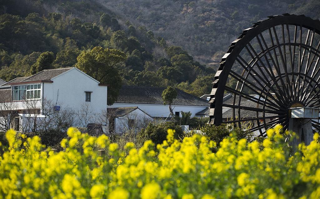 20年前,在农村过夏天的老照片,你还记得吗?