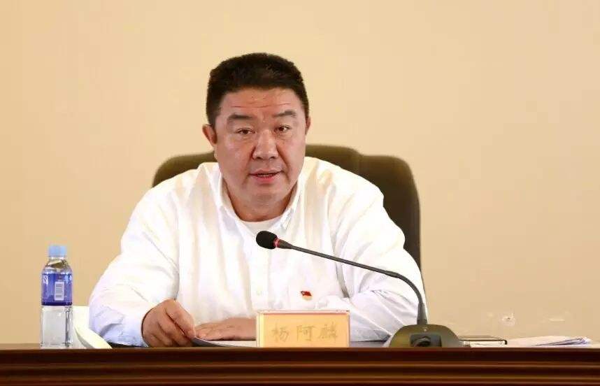 他的违纪行为,3项与妻子有关|内蒙古自治区|杨阿麟|妻子_新浪新闻