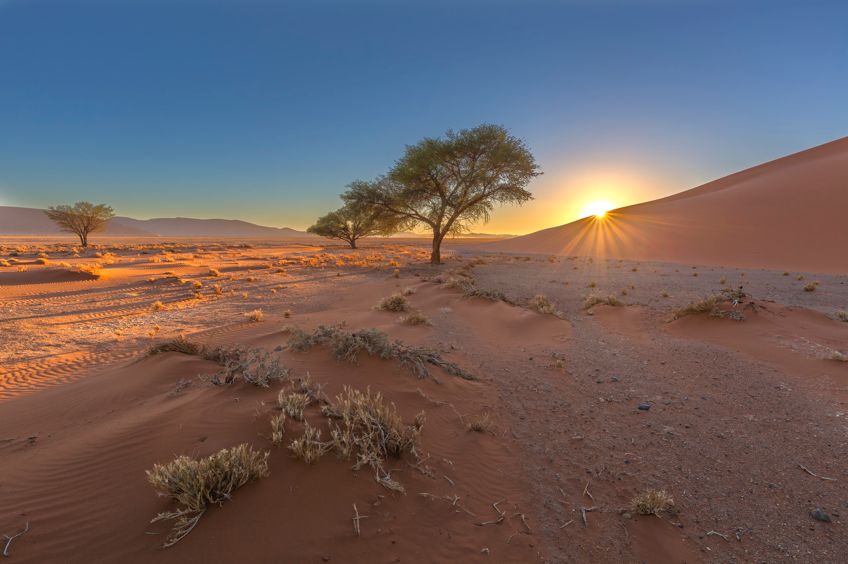 和10月是观赏千万大象每天早晚在河边排队的最佳时时机 卡拉哈里沙漠