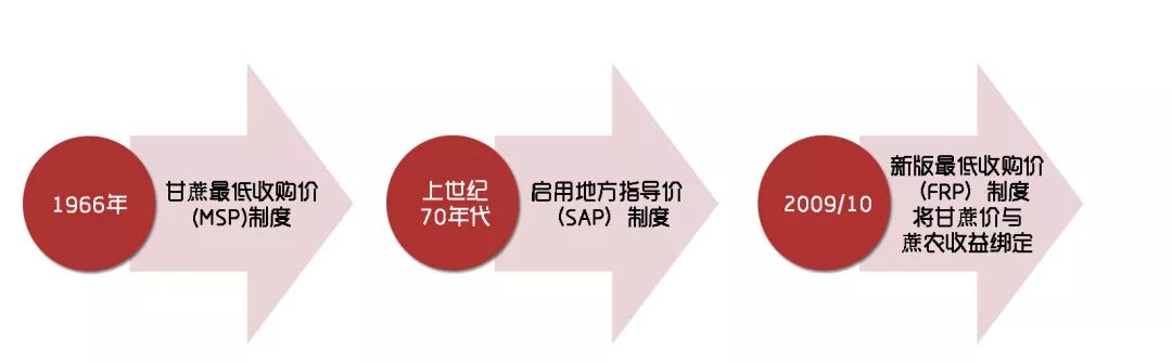 揭开印度糖业的神秘面纱