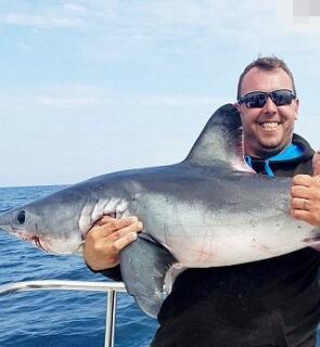 这5人一天钓到20头鲨鱼