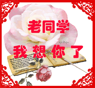 (感动所有同学)