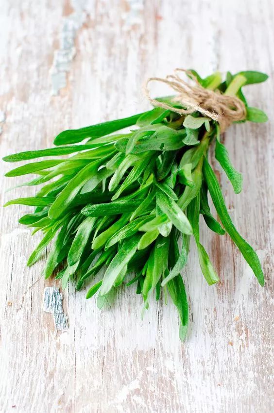 野菜|苦菜|面条菜_新浪新闻