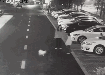 男子遛狗不拴绳,还把保护孩子的妈妈按在地上打!-图片2