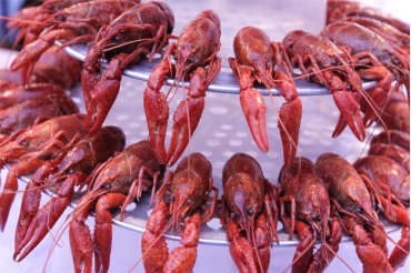 不管你是乱劈柴还是十五二十小蜜蜂,只要胜出,就有啤酒一件