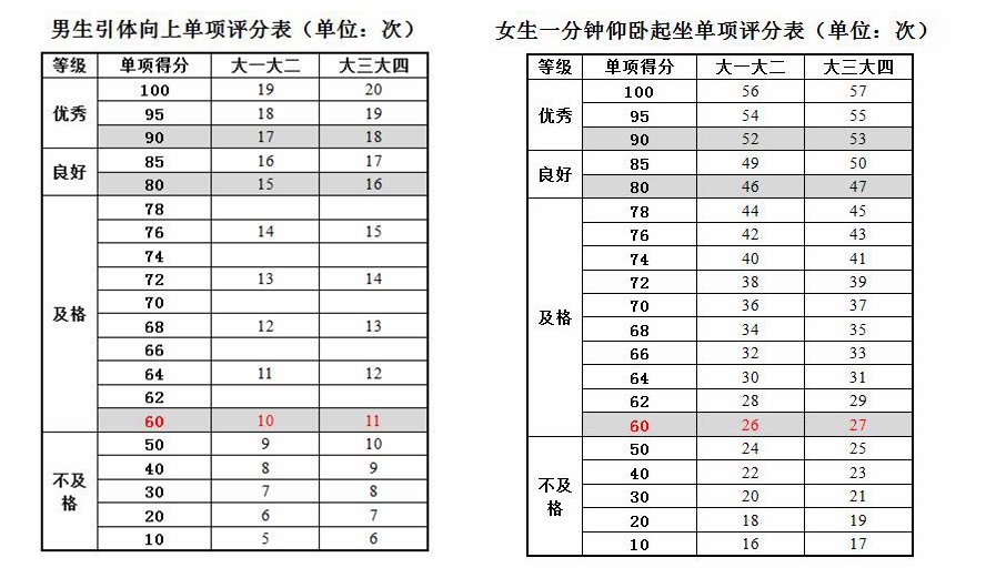 大学生引体向上（男）/1分钟仰卧起坐（女）评分标准