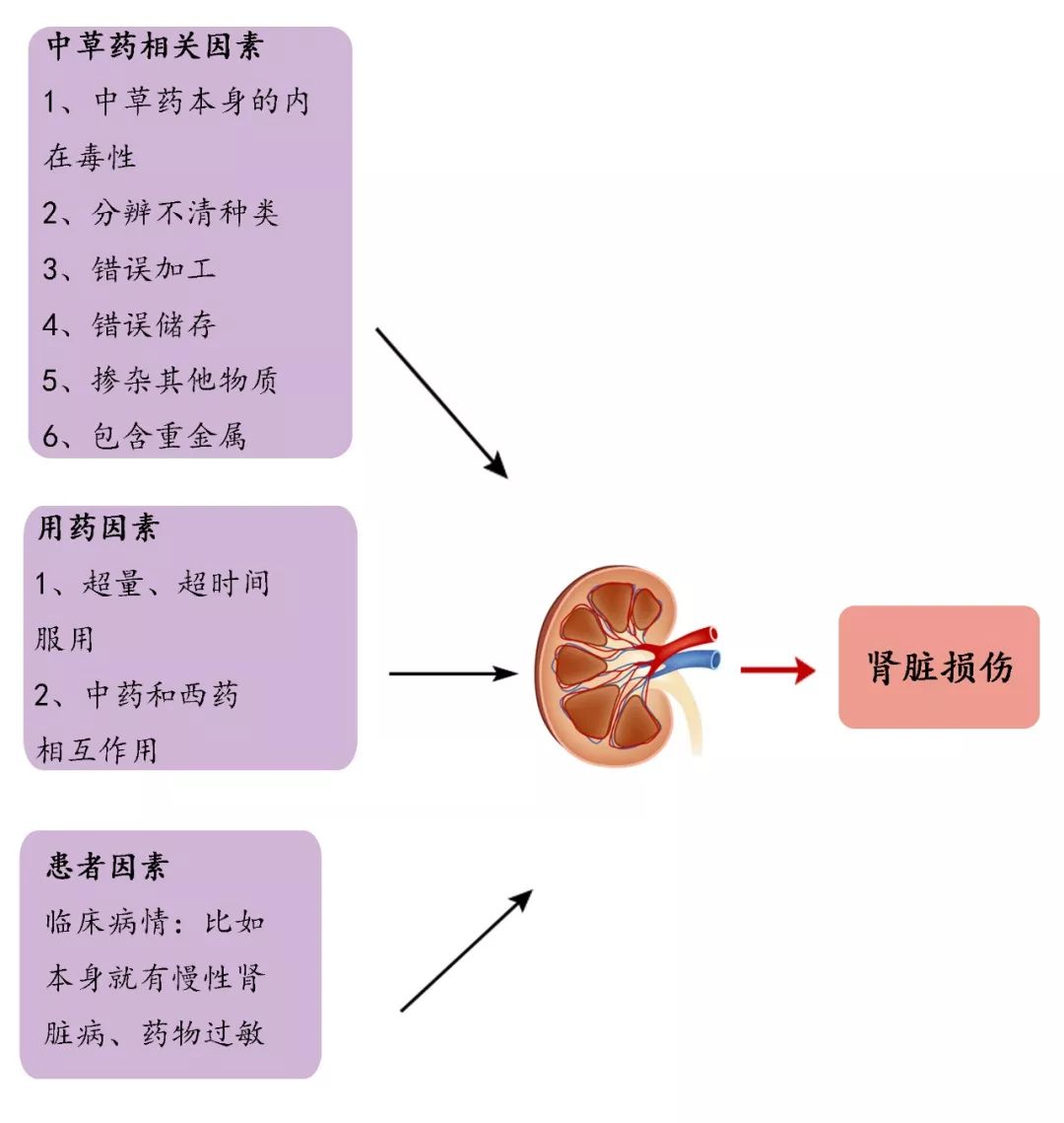 哪些中草药有肾毒性?权威医学期刊总结说.