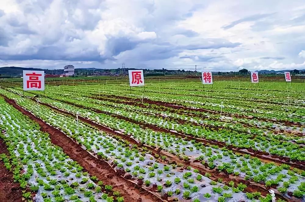 第三批云南省农业科技园区出炉,9个园区上榜