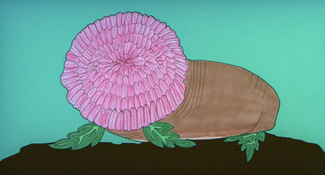 71岁"斜杠青年"北野武:无聊的人生我死都不要