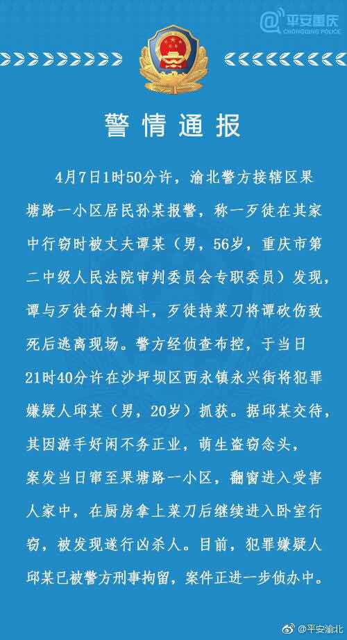重庆二中院原副院长身亡 官方:被窃贼持菜刀砍死