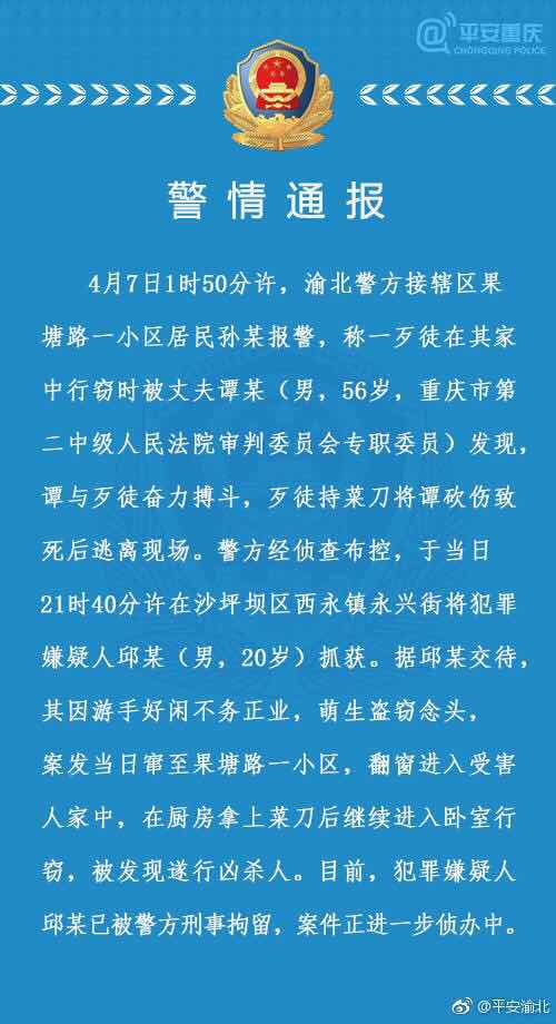 重慶二中院原副院長(cháng)身亡 官方:被竊賊持菜刀砍死