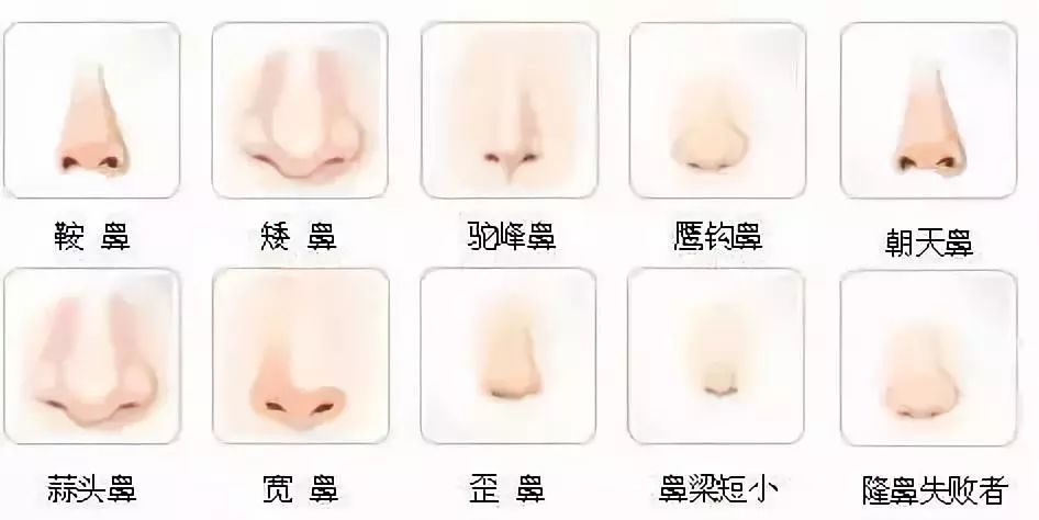 鼻子的问题