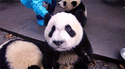 400_222gif 动态图 动图