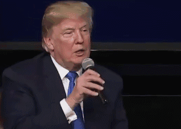 365_259gif 动态图 动图