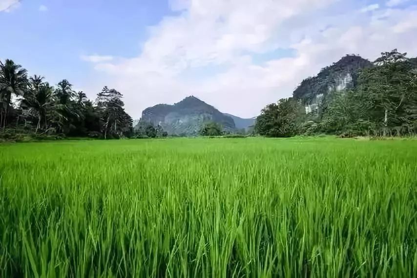 攻略 | 海南环岛自驾游最新路线,走起!