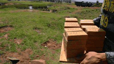 工兵实爆作业了解一下|工兵|作业|梯恩梯_新浪军事_新浪网