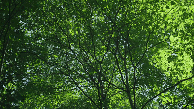 400_225gif 动态图 动图