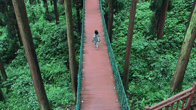 你们最向往的小森林我住了两天一夜