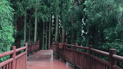 你们最向往的小森林我住了两天一夜