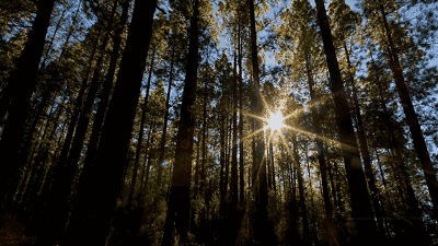 400_225gif 动态图 动图