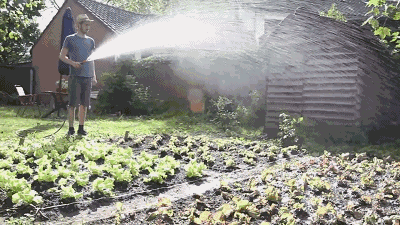 400_225gif 动态图 动图