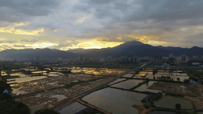 还引发全国大争论|陈志雄|鱼塘|肇庆_新浪新闻