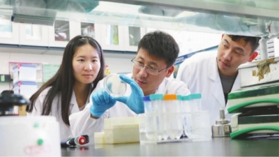 　中科院合肥物质科学研究院研究员刘青松（中）与同事们在实验室研发药品。本文图片 光明日报