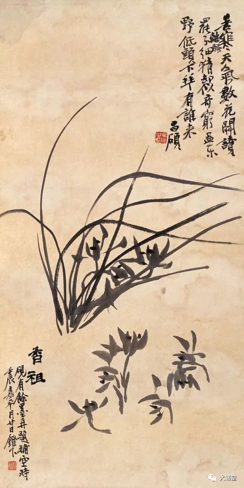 吴昌硕草篆书法画兰草尽显兰花洁净孤高性格