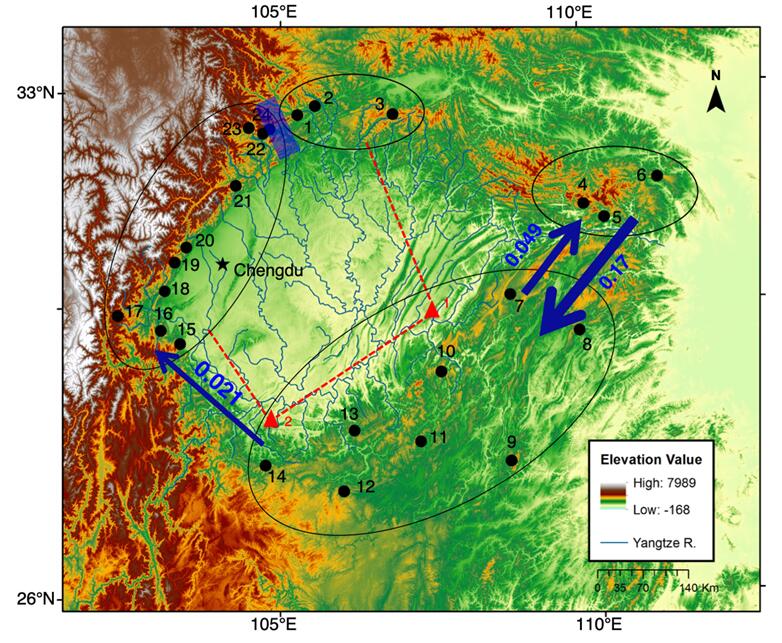 成都生物所揭示四川盆地对绿臭蛙多样性格局形成和维持的环形模式