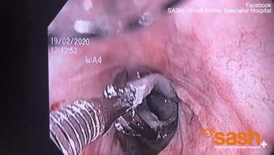 彩票网累计充值活动