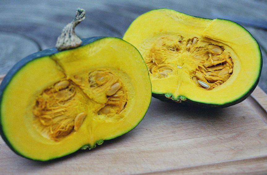 印度南瓜主要在中国北方栽培,果型以近圆型较常见,肉质甜面,最近比较