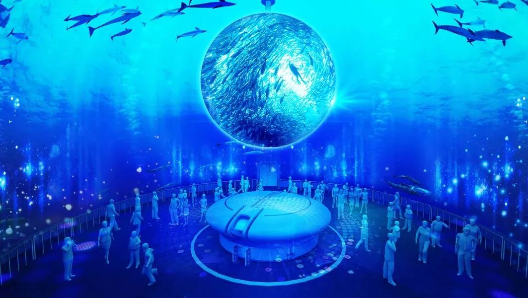确定了!上海海昌海洋公园就是这个价!|海昌海洋公园|门票价格|游客_新浪新闻