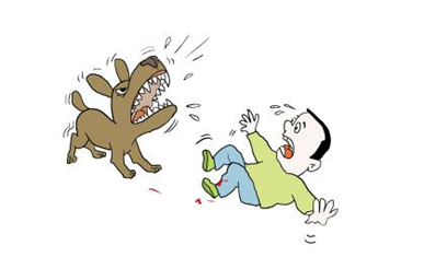 恶犬伤人何时休?城市"狗患",需要更智慧的治理