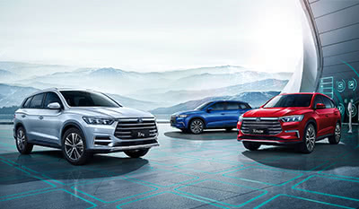 比亚迪排名_比亚迪汉(2)