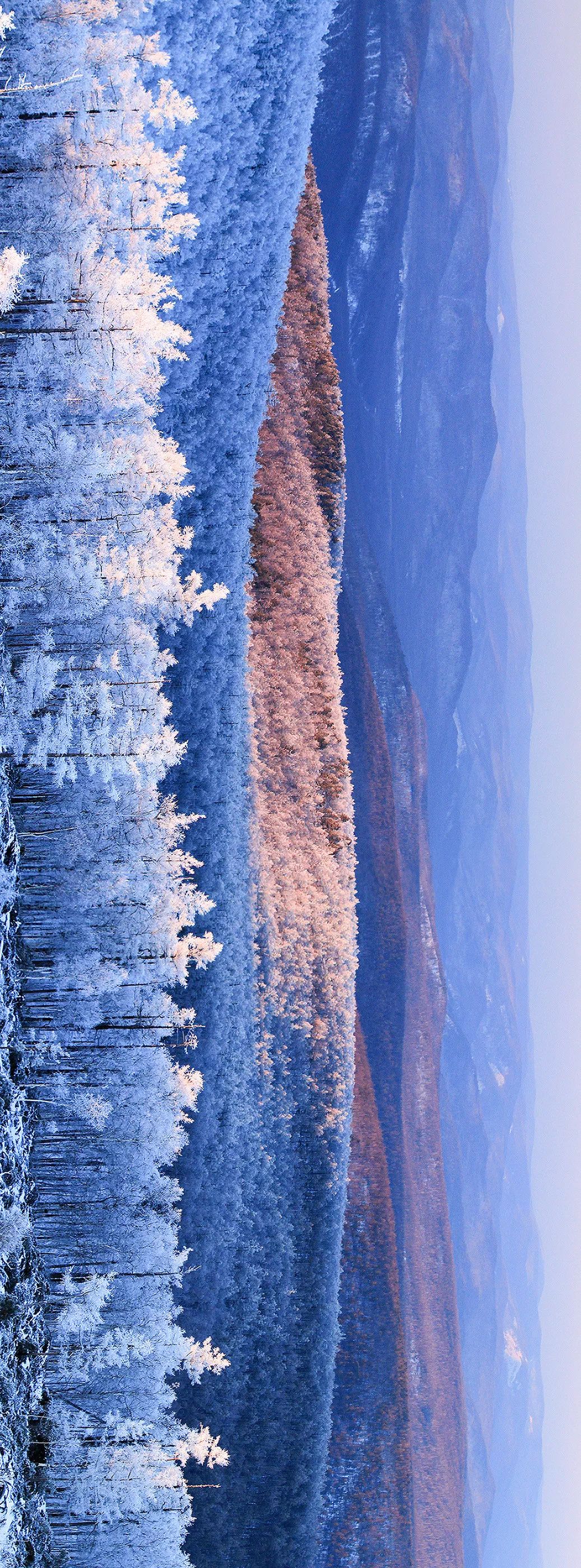 大兴安岭原始森林的冰雪风光，摄影师@刘兆明/星球研究所