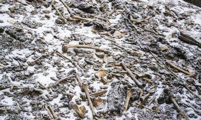 散布在喜马拉雅山脉卢普康湖岸边的大量人骨
