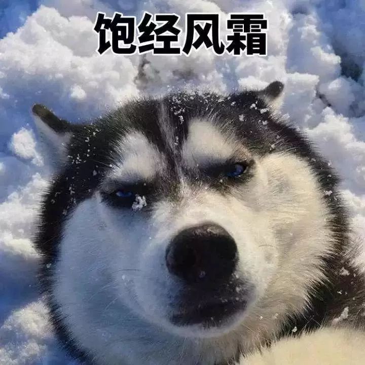 网络 可怜的hr宝宝们,招聘压力大不说,还要经常遭遇奇葩简历,被放鸽子