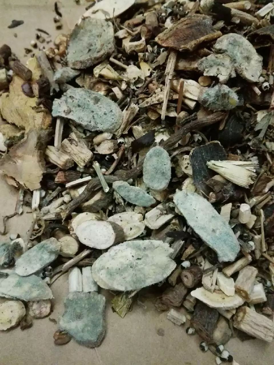 盐城这家医院开的药居然霉变长绿毛,主任居然还说……|霉变|盐城|中药