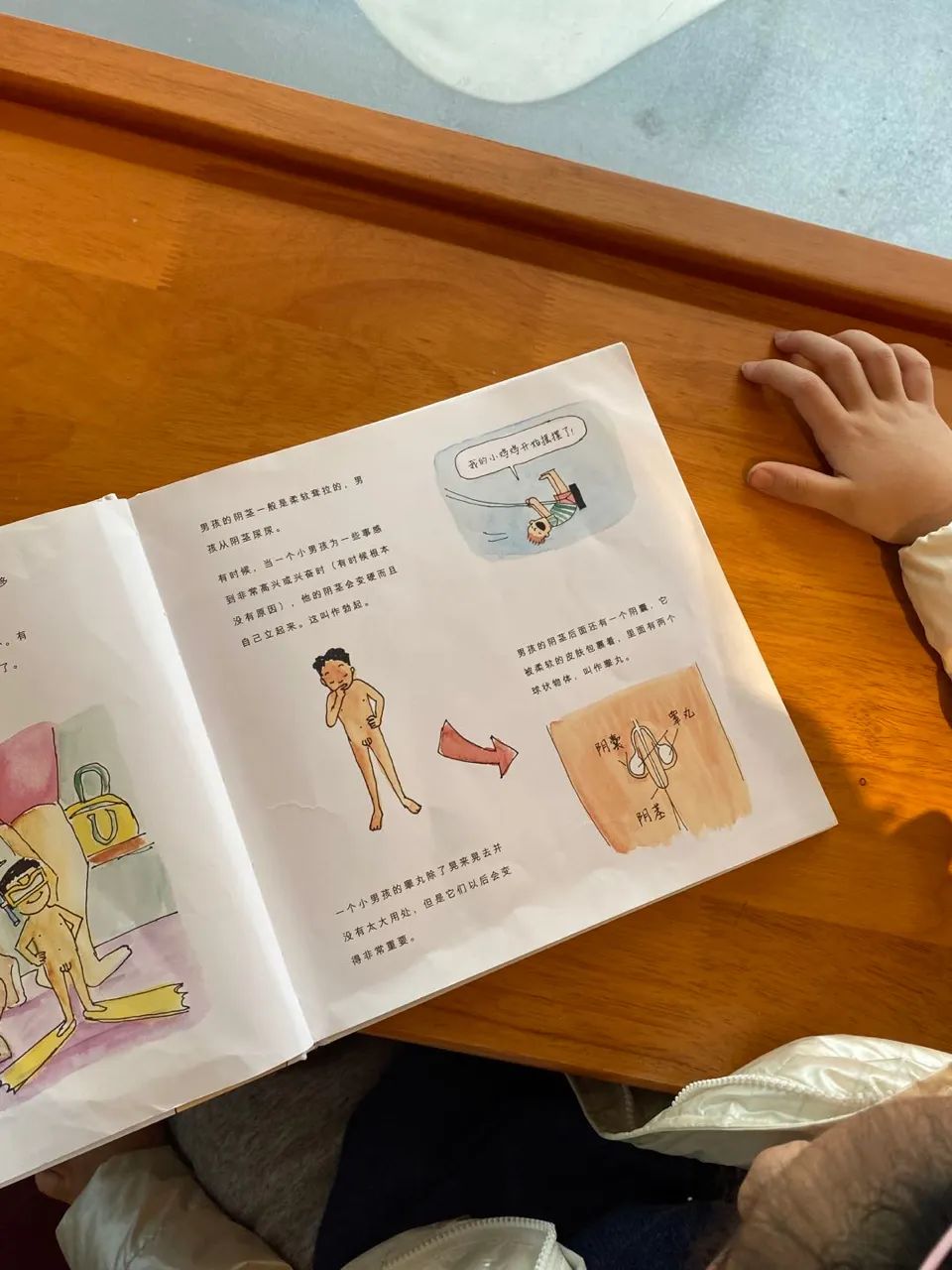 拿什么保护你,我的女儿|托班|卫生巾|月经_新浪新闻