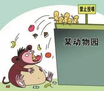 报道,近日有市民发现,在北京动物园长臂猿等灵长类动物展区,不少游客