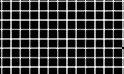 挑战十 这张照片中的每一个点都是白色的,但有一些看起来却是黑色