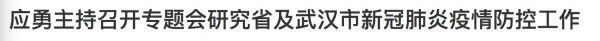 湖北省人民政府网站截图