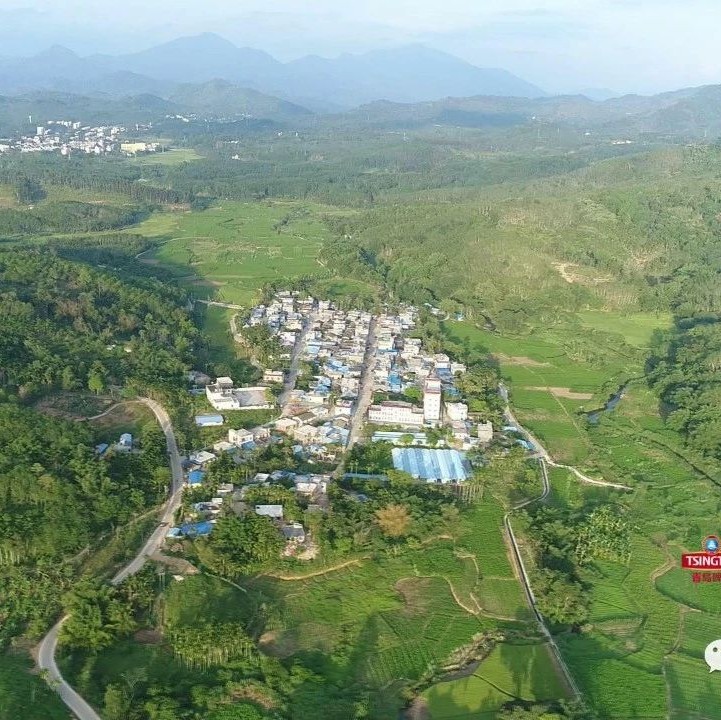 琼中这个不起眼的小山村,如今却成了有名的特色旅游乡村!|琼中_新浪新闻