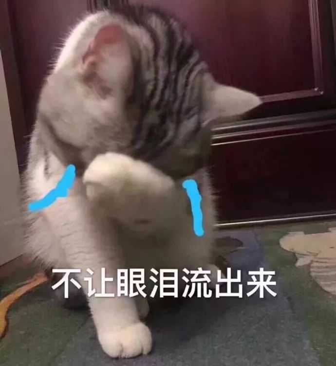 五一小长假没了!网友:暴风雨式的哭泣.