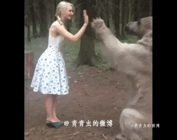 360_286gif 动态图 动图